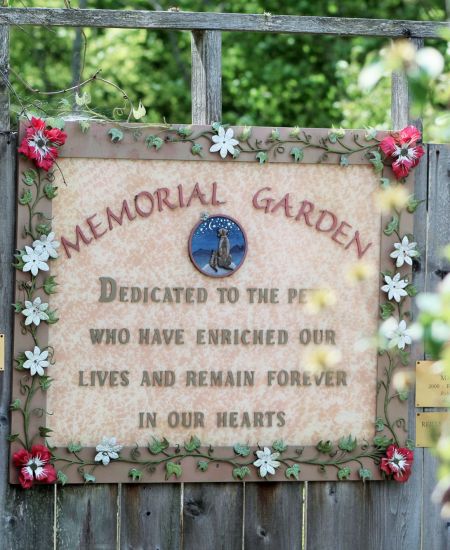 Photo: The memorial garden